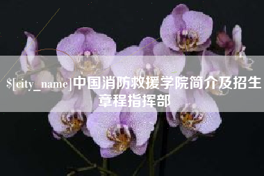 格尔木中国消防救援学院简介及招生章程指挥部