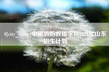 格尔木中国消防救援学院2021年山东招生计划