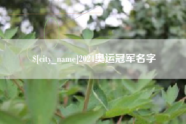 格尔木2024奥运冠军名字