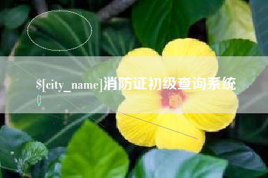 格尔木消防证初级查询系统