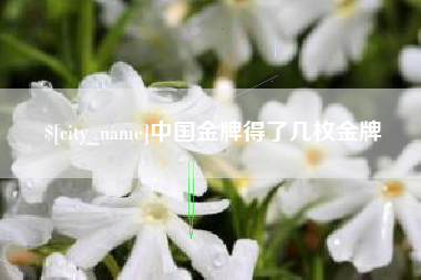 格尔木中国金牌得了几枚金牌