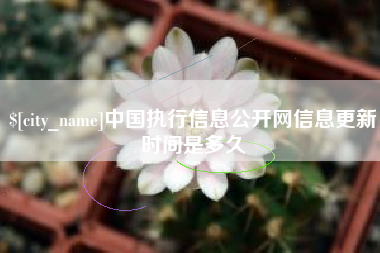 格尔木中国执行信息公开网信息更新时间是多久