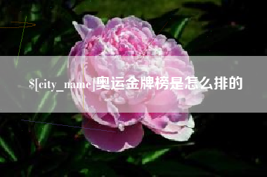 格尔木奥运金牌榜是怎么排的