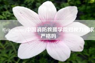 格尔木中国消防救援学院对视力要求严格吗