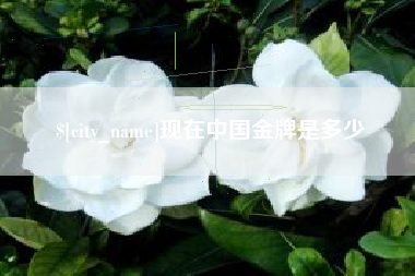 格尔木现在中国金牌是多少