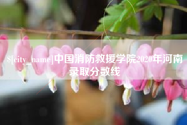 格尔木中国消防救援学院2020年河南录取分数线