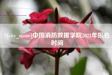 格尔木中国消防救援学院2021年报名时间