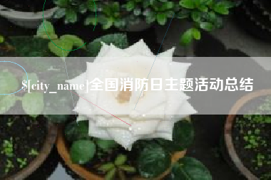 格尔木全国消防日主题活动总结