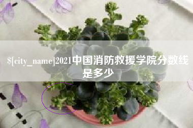 格尔木2021中国消防救援学院分数线是多少