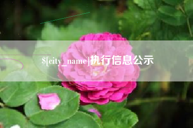 格尔木执行信息公示