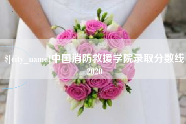 格尔木中国消防救援学院录取分数线2020