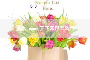 格尔木王子豪是怎么写