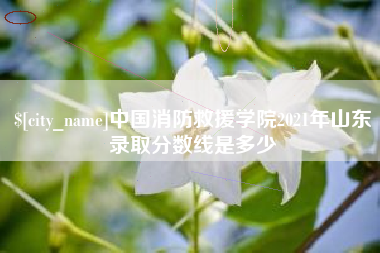 格尔木中国消防救援学院2021年山东录取分数线是多少
