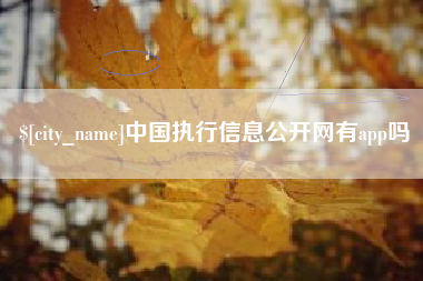 格尔木中国执行信息公开网有app吗