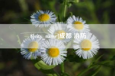 格尔木成都 消防