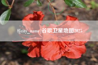 格尔木谷歌卫星地图2025
