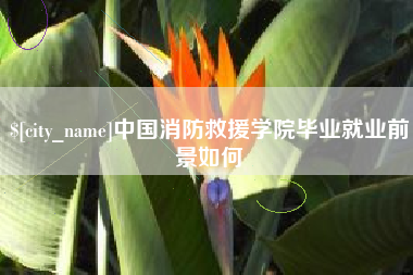 格尔木中国消防救援学院毕业就业前景如何
