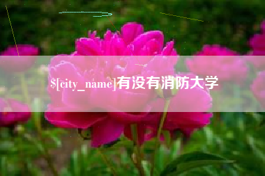 格尔木有没有消防大学