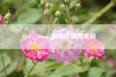 格尔木消控证官网查询