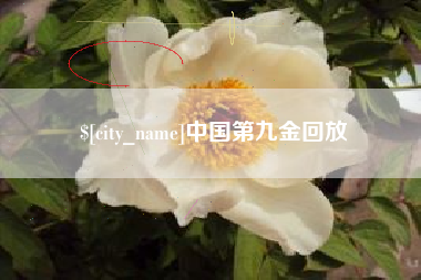 格尔木中国第九金回放