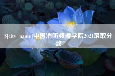 格尔木中国消防救援学院2021录取分数