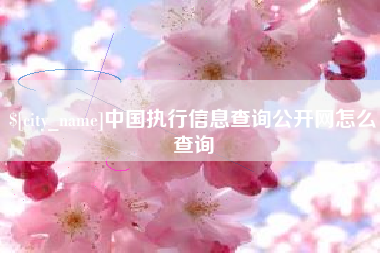 格尔木中国执行信息查询公开网怎么查询