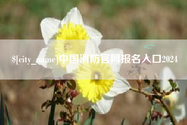 格尔木中国消防官网报名入口2024
