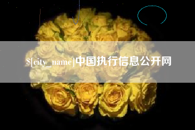 格尔木中国执行信息公开网