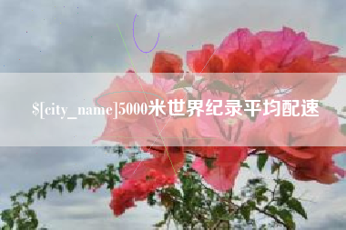 格尔木5000米世界纪录平均配速