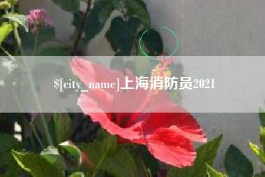 格尔木上海消防员2021
