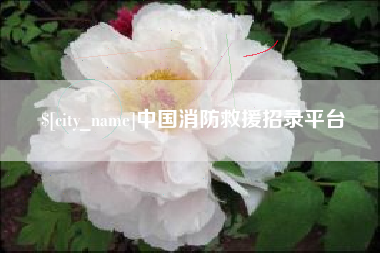 格尔木中国消防救援招录平台
