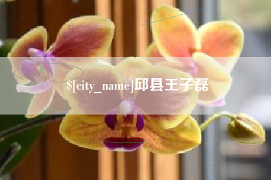 格尔木邱县王子磊
