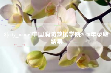 格尔木中国消防救援学院2020年录取结果