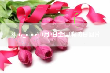 格尔木11月9日全国消防日图片