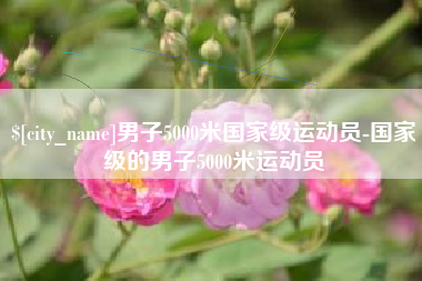 格尔木男子5000米国家级运动员-国家级的男子5000米运动员
