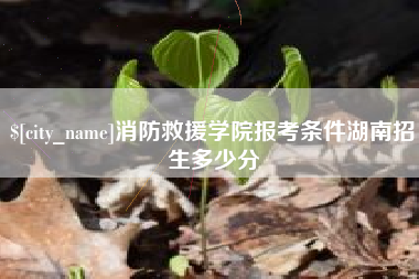 格尔木消防救援学院报考条件湖南招生多少分