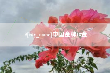 格尔木中国金牌18金