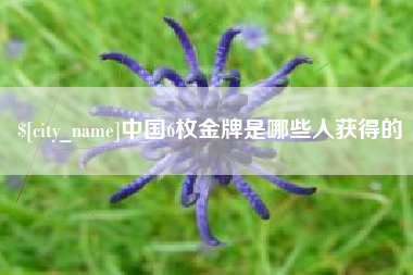 格尔木中国6枚金牌是哪些人获得的