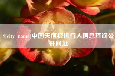 格尔木中国失信被执行人信息查询公开网址