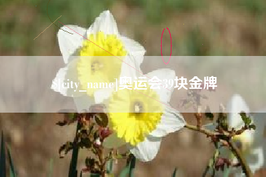 格尔木奥运会39块金牌