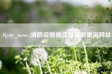 格尔木消防设施操作员证书查询网址