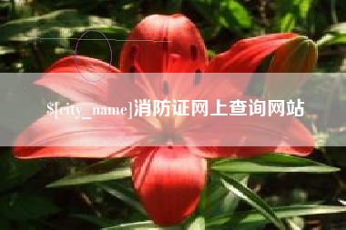格尔木消防证网上查询网站