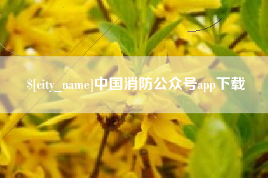 格尔木中国消防公众号app下载