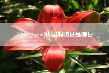 格尔木我国消防日是哪日