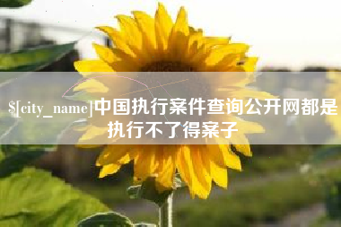 格尔木中国执行案件查询公开网都是执行不了得案子