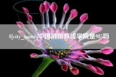 格尔木中国消防救援学院是985吗