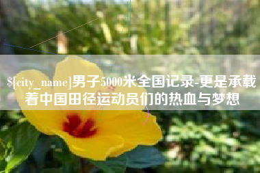 格尔木男子5000米全国记录-更是承载着中国田径运动员们的热血与梦想
