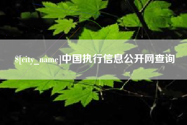 格尔木中国执行信息公开网查询