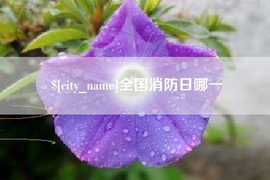 格尔木全国消防日哪一