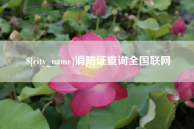 格尔木消防证查询全国联网